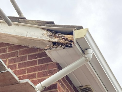 Roofer -fascias, soffits, guttering