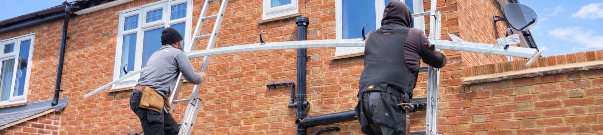  Bird-Proofing in Cambridge: A One-Day Roofline Transformation