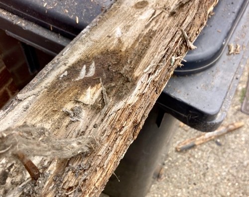 Rotten wooden fascia boards being removed from a property in Newmarket Road Cambridge