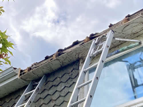 Roofer -fascias, soffits, guttering