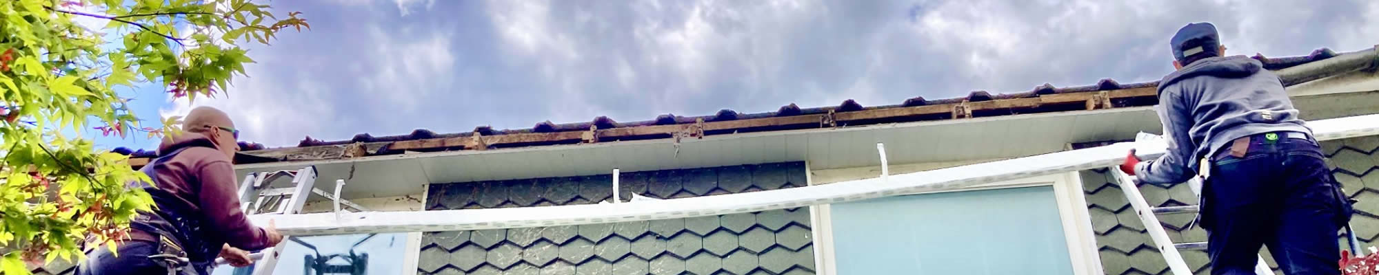  Bird-Proofing in Cambridge: A One-Day Roofline Transformation