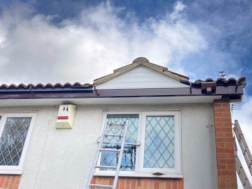 Roofline. Newton in Cambridge