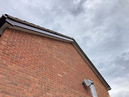 Roofline. Newton in Cambridge